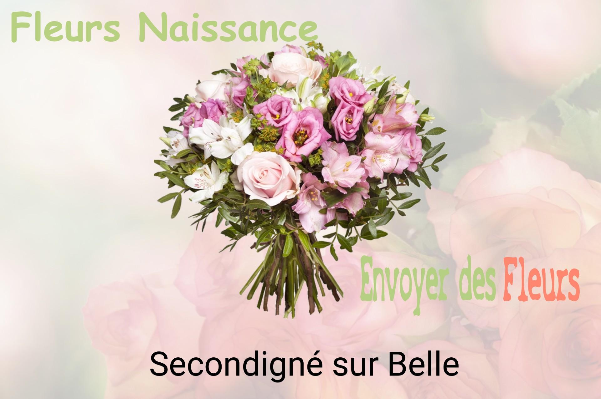 Bouquet de fleurs de naissance livré à Secondigné-sur-Belle